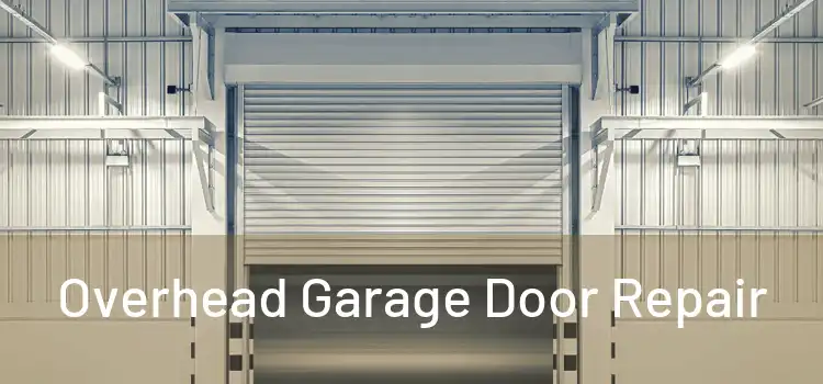  Overhead Garage Door Repair 