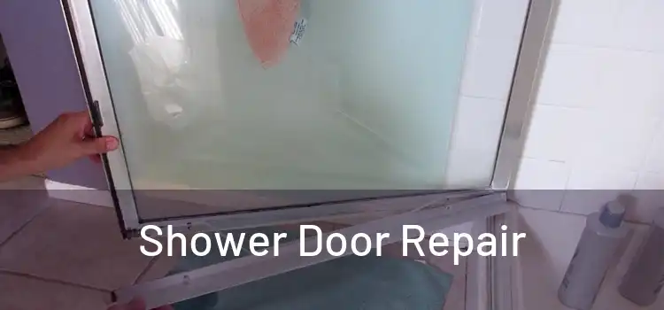  Shower Door Repair 